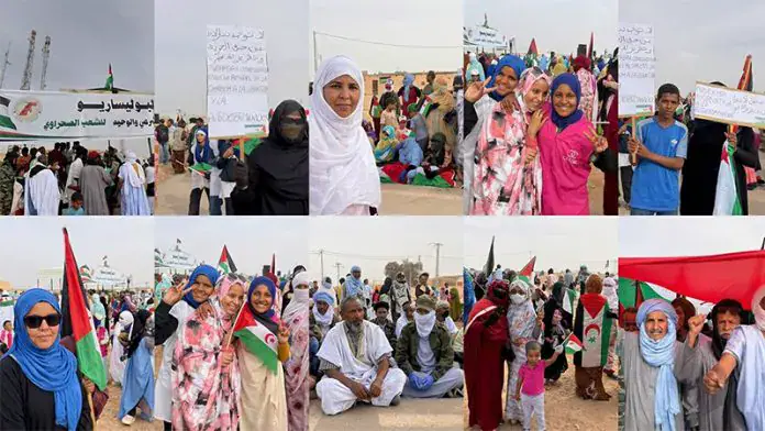saharap6