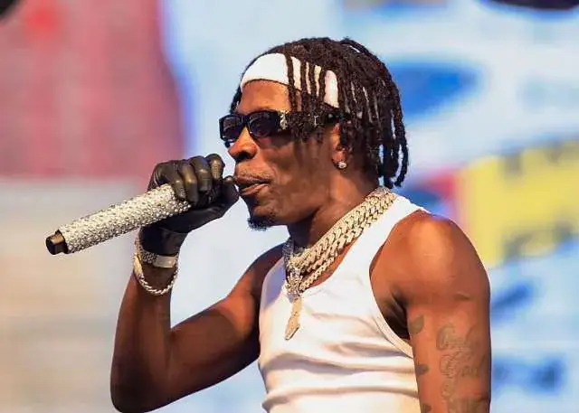 MoMoFest x ShattaFest 2026 boosts Ghana's cashless economy