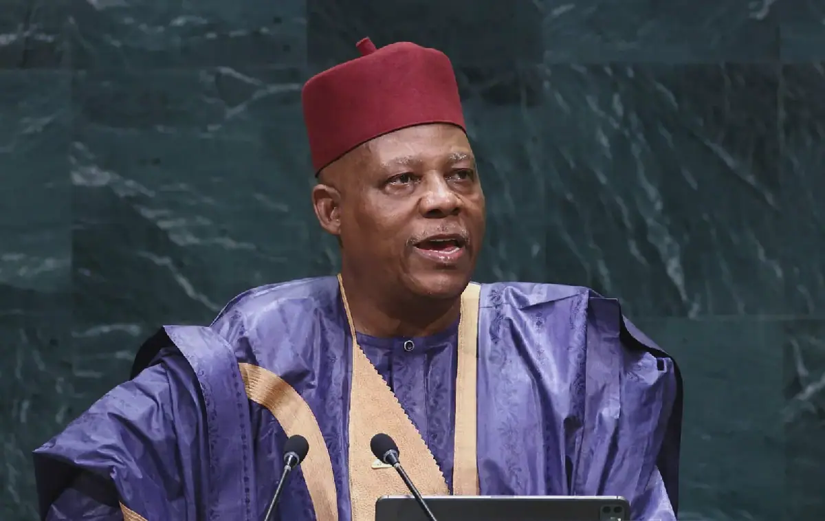 Government Reforms Aimed at Attracting Investments - Shettima