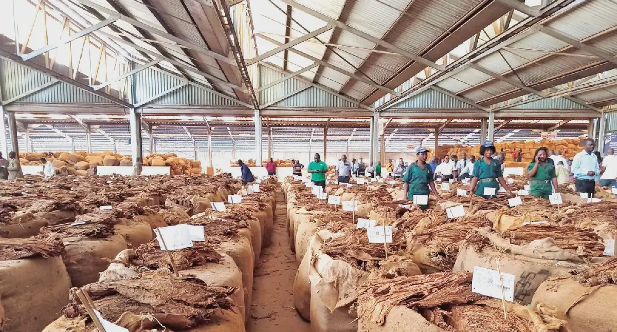 Caution over Malawi’s ‘reliance’ on NGO forex