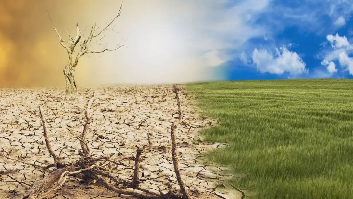 Le changement climatique déclaré "urgence sanitaire mondiale" selon un rapport