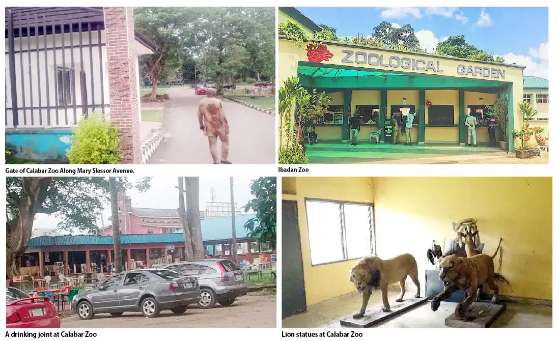 The Decline Of Nigeria’s Zoos