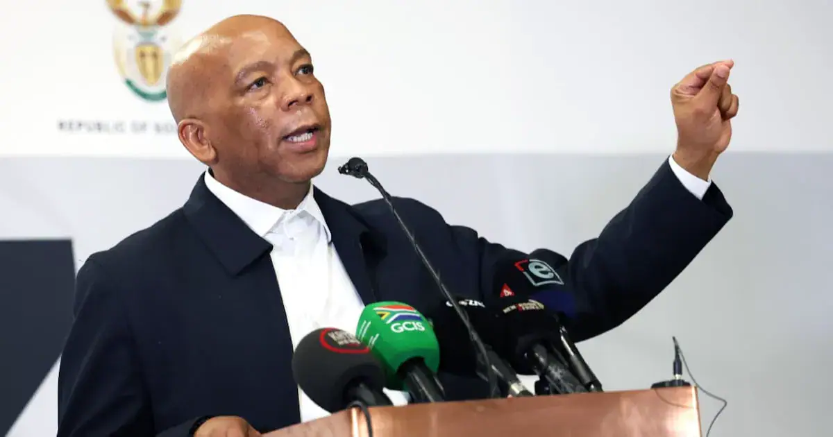 Electricity and energy minister Kgosientsho Ramokgopa. File photo.