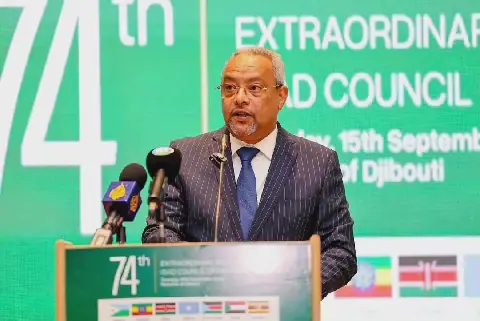 IGAD ministers meet in Djibouti