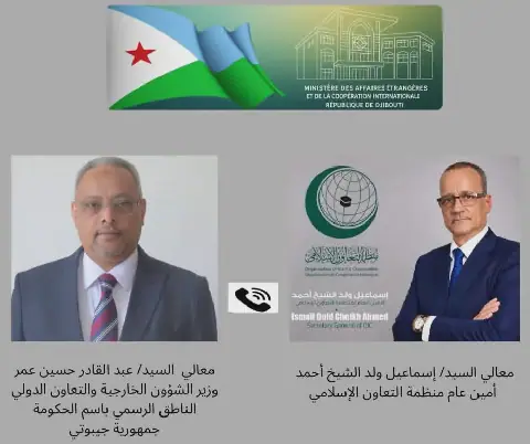 Djibouti's Foreign Minister Holds Phone Call with New OIC Secretary General