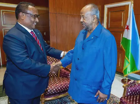 Djibouti's President Receives Mogadishu Mayor, Potential for Development Cooperation