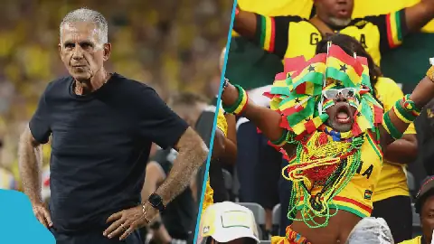 black stars
