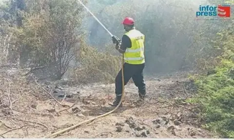 Forest Fires Near Porto Novo