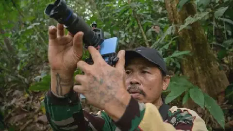Indonesian Villagers Paid to Monitor Wildlife as Conservation Effort