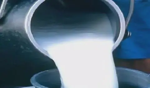 Tunisia's dairy industry faces challenges with milk imports and depleted poultry stockpiles
