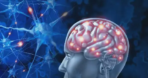 Alzheimer's Disease in Tunisia: A Complex Interplay of Genetic and Lifestyle Factors