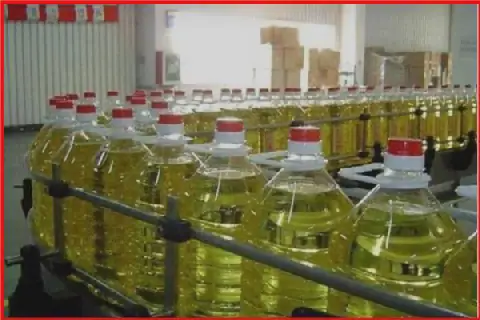Egyptian City of Kafr El Zayat Stands as a Major Industrial Hub