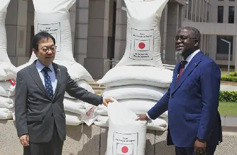 Togo's Government Faces Criticism Over Rice Importation Amidst Local Production Glut