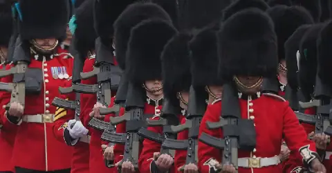 British MPs Call for End to Use of Bear Skin in Royal Guard Hats