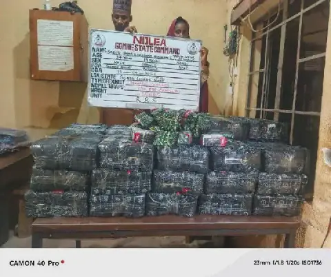 NDLEA intercepts N3.4bn loud, opioids, arrests fake cop, mechanic-drug dealer + plus more