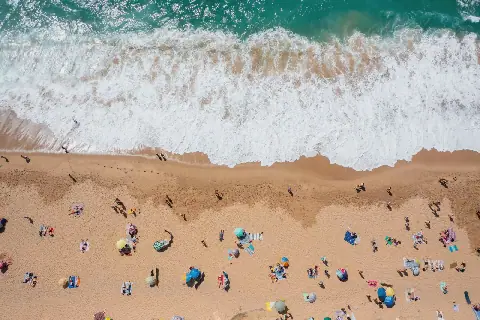 Quercus Urges Firm Action on Beach Access in Grândola