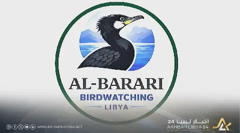 منع صيد الطيور المهاجرة في 5 مناطق بالجنوب الشرقي لمدة موسمين