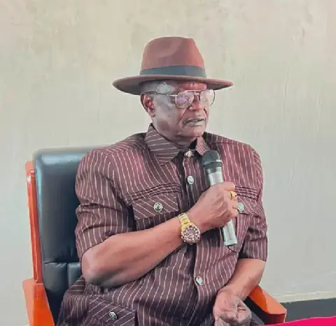 South Sudan's Minister of Interior Orders Downsizing at Nimule Border
