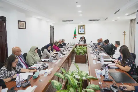 Algerian Energy Minister Leads Meeting on Gas Consumption and African Cooperation