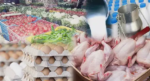 Tunisian Economic Control Efforts Yield 3,879 Infractions in 15 Days
