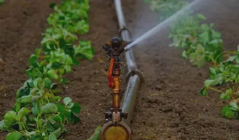 Tunisian Farmers Contest New Irrigation Water Tariff in Jendouba