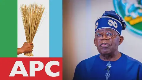 Tinubu Hails APC's Victory in By-Elections