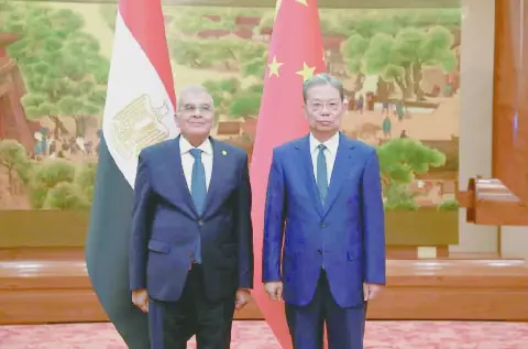 تعزيز الشراكة الإستراتيجية بين «القاهرة» و«بكين»