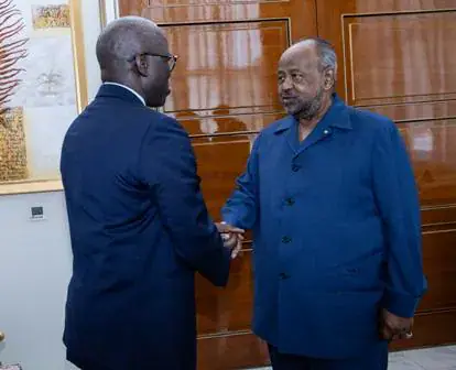 Djibouti President Meets World Bank Vice President