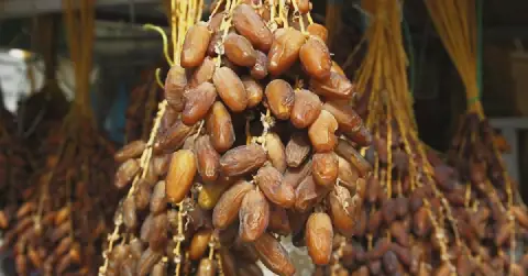 Tunisia's Gafsa Governorate Expects 15,086 Tons of Date Production