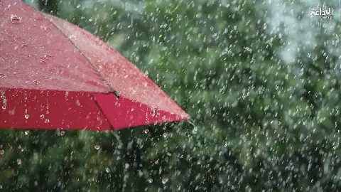 Tunisia Records Significant Rainfall in 24 Hours