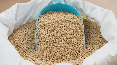 Tunisian Authorities Seize 47 Tons of Animal Feed in Manouba