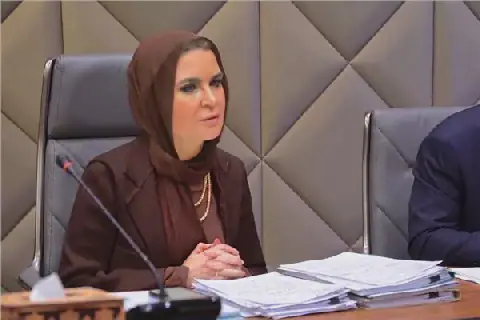 Early Parliamentary Participation Key to Effective Economic Policies: Dr. Sahar Nasr