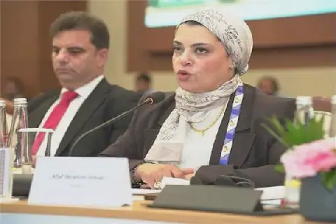 Egypt's Tax Authority Participates in BRICS Tax Expert Meetings in India