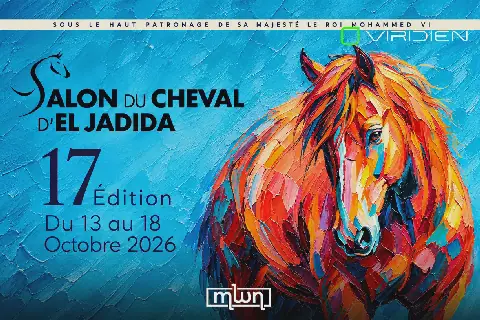 Salon du Cheval d'El Jadida 2026: Exploring Equine Care, History, and Culture