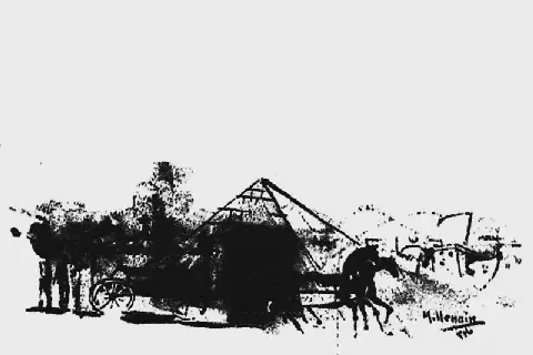 The Birth of Al-Ahram's Obituary Page: A Reflection of 19th-Century Egyptian Society