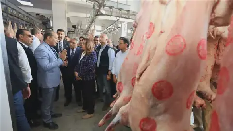 Egypt's Minister of Local Development and Dakahlia Governor Inaugurate Upgraded Balqas Slaughterhouse