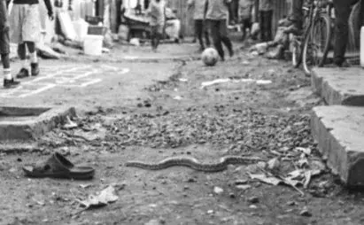 Tragedy Strikes in Aweil as Snake Bite Claims Life of 7-Year-Old Girl