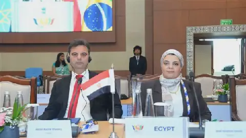 Egypt, India Lead Work-Life Balance Axis in BRICS Tax Cooperation