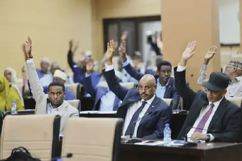 Somalia's Upper House Approves Revenue Authority Bill
