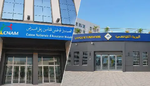 Delays in Postal Service Cause Problems for Tunisian Citizens