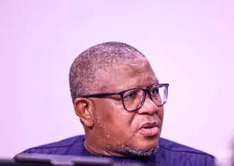 ‘We’ve had enough of lies’: AfriForum drags Mbalula to court over ‘child rapist’ claims