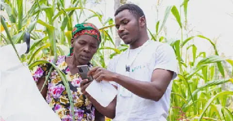 AI@70: How Uganda is Embracing the Technology