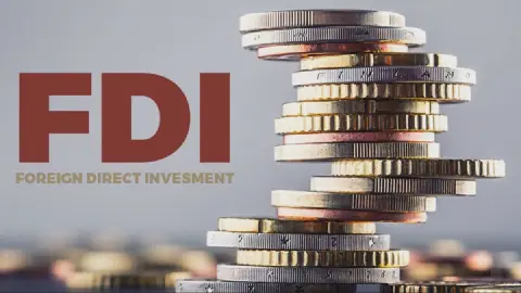 Despite 11.7% FDI Growth, Hot Money Dominates Q2 Capital Inflows