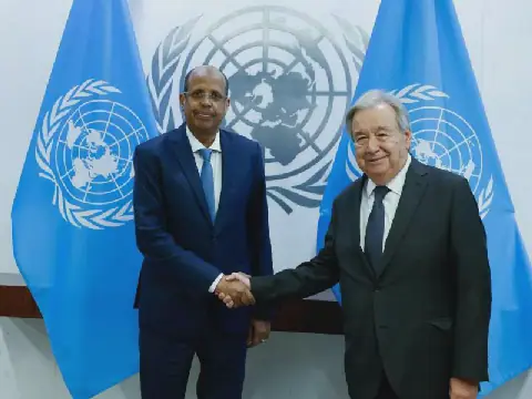 ONU and UA Agree to Support Togo's Mediation in DRC Crisis