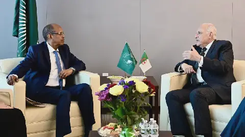 Algerian Foreign Minister Meets with African Union Commission Chairperson