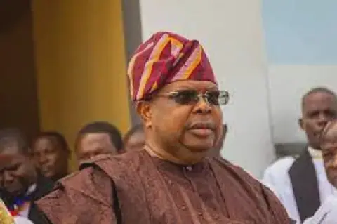 Nigeria has No Immediate Plan to Increase Electricity Tariff - Minister