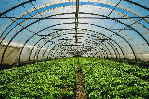 L'investissement agricole en Tunisie atteint une valeur ajoutée de 4,8 milliards de dinars