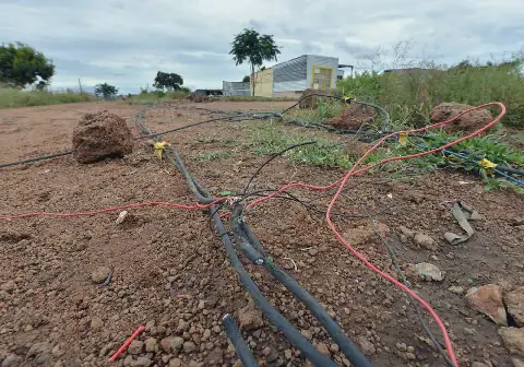 High Court orders Eskom to pay damages after child electrocuted by powerline