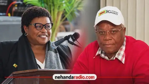 Zimbabwe's Former Minister Ignatius Chombo Loses Nearly Half of 3,099-hectare Farm Lease to Ex-wife Marian