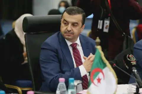 Algerian Minister of Energy Embarks on Working Visit to Niger